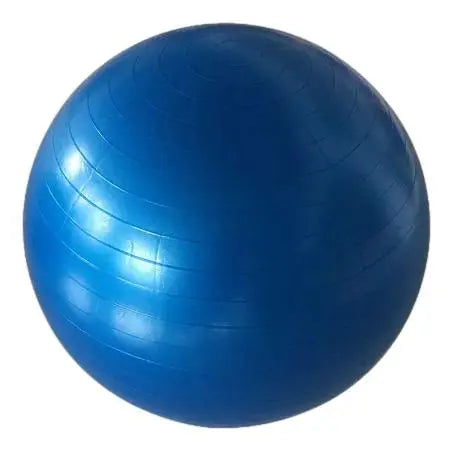 OkPro Anti-Burst Gym Balls