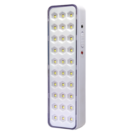 Switched 30 LED Emergency Light 150 Lumen