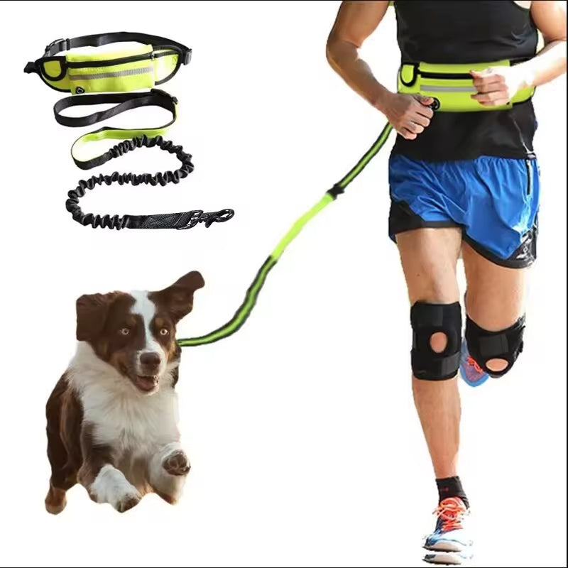 Dogs-up Bungee Leash for Dogs Hand Free Running With Reflective Traction