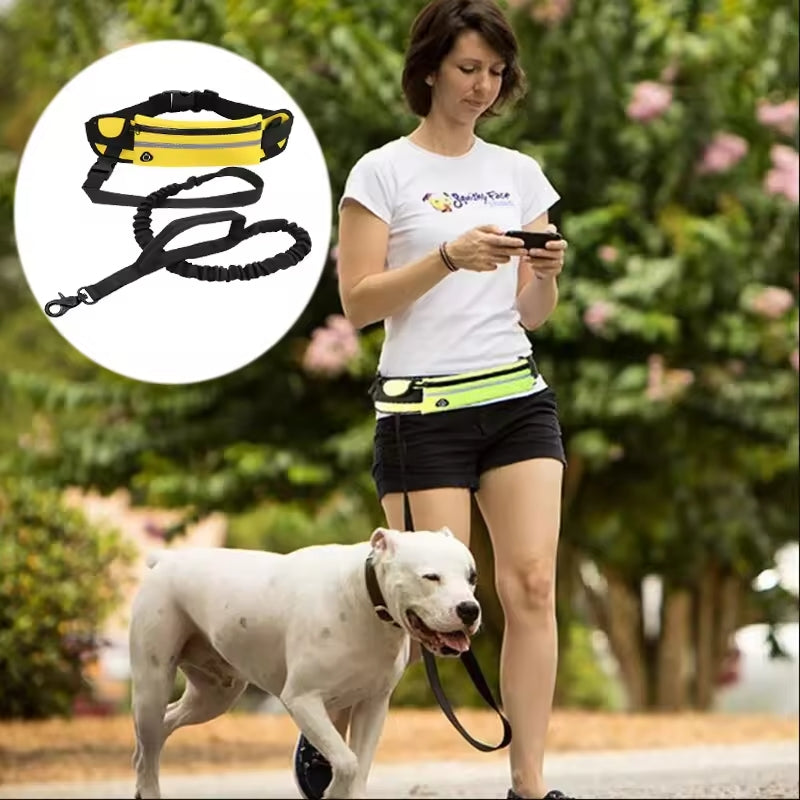 Dogs-up Bungee Leash for Dogs Hand Free Running With Reflective Traction
