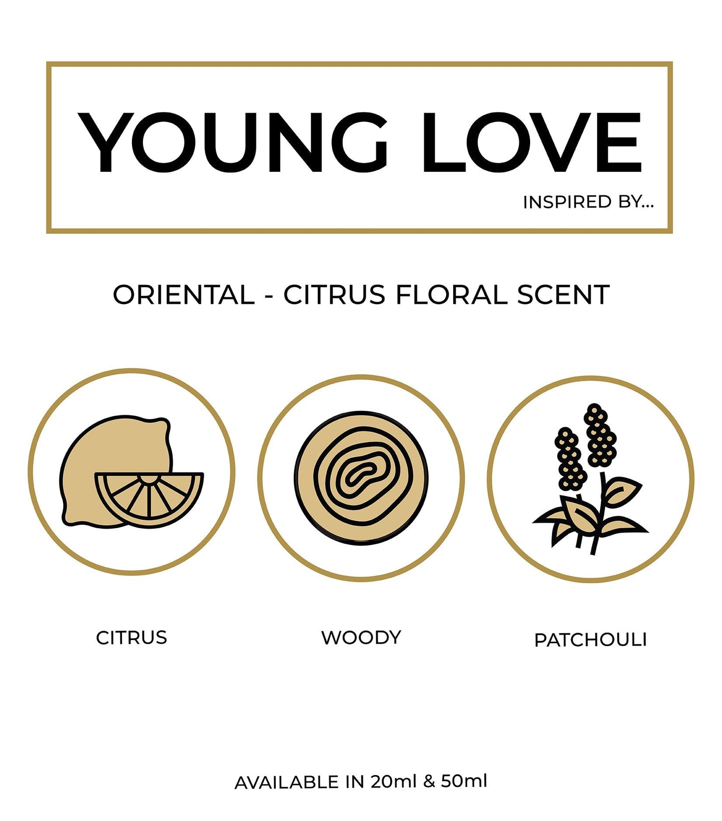Infographic displaying Perfume Box Young Love notes of orange blossom rose and patchouli