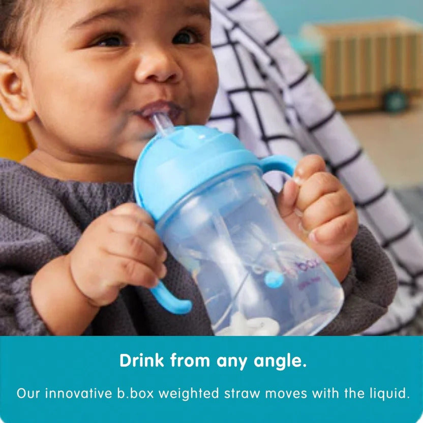 B.Box Weighted Straw Sippy Cup (240ml) | Leak-Proof Training Cup | Drink From Any Angle