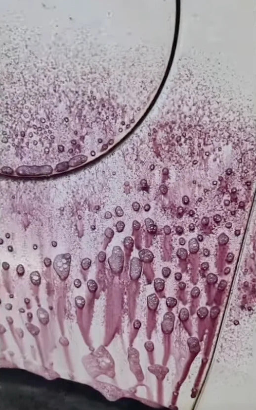 Nerta Fallout 7 – Iron Fallout Remover

The PH-Neutral Fallout 7 is a powerful rim cleaner and iron fallout remover, designed for safe and easy use. Its colour changing, unique formula deeply cleans and quickly eliminates dirt, brake dust, and iron particles from your vehicle’s rims and body. Not only does it effectively remove iron contamination, but it also helps prevent further iron-related damage, making it the ideal solution for tackling metallic contaminants.

Rim cleaner and iron fallout re