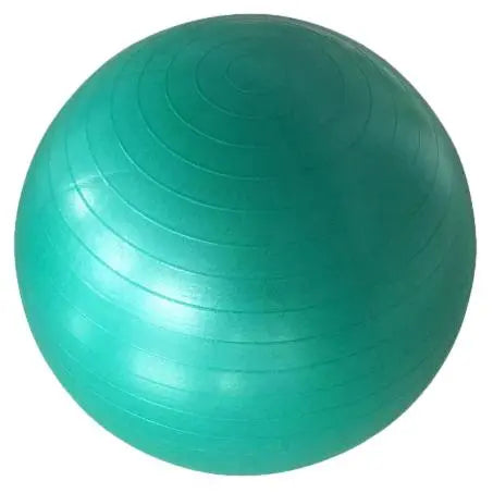 OkPro Anti-Burst Gym Balls