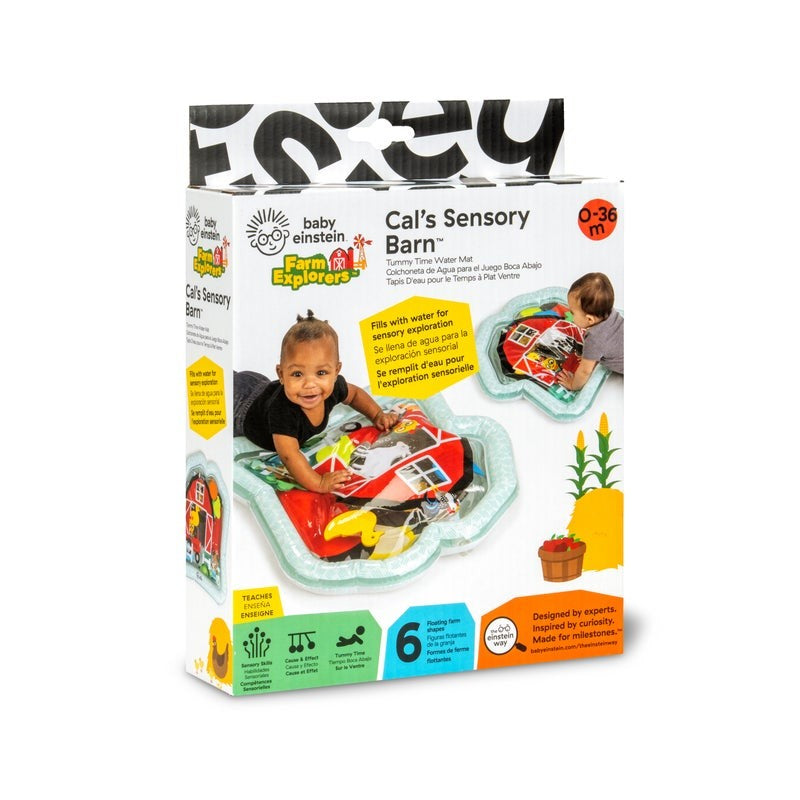 Baby Einstein Cals Sensory Barn Water Mat main view with floating shapes