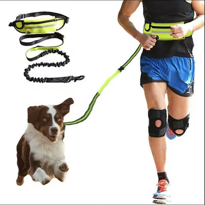 Dogs-up Bungee Leash for Dogs Hand Free Running With Reflective Traction