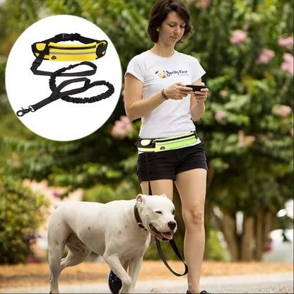 Dogs-up Bungee Leash for Dogs Hand Free Running With Reflective Traction