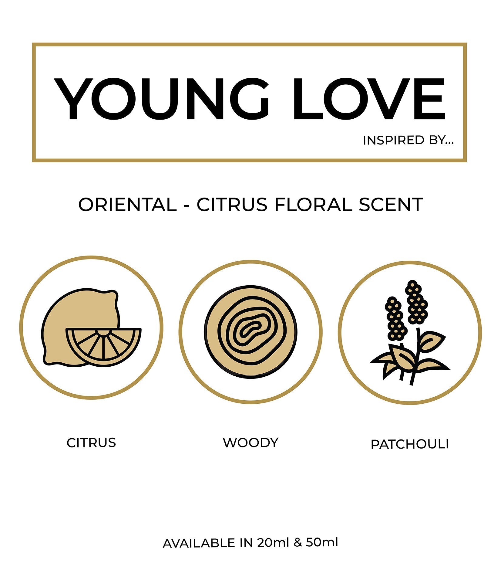 Infographic displaying Perfume Box Young Love notes of orange blossom rose and patchouli