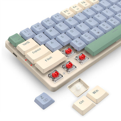 Redragon BS8772 Mechanical Wireless Keyboard & Mouse Combo